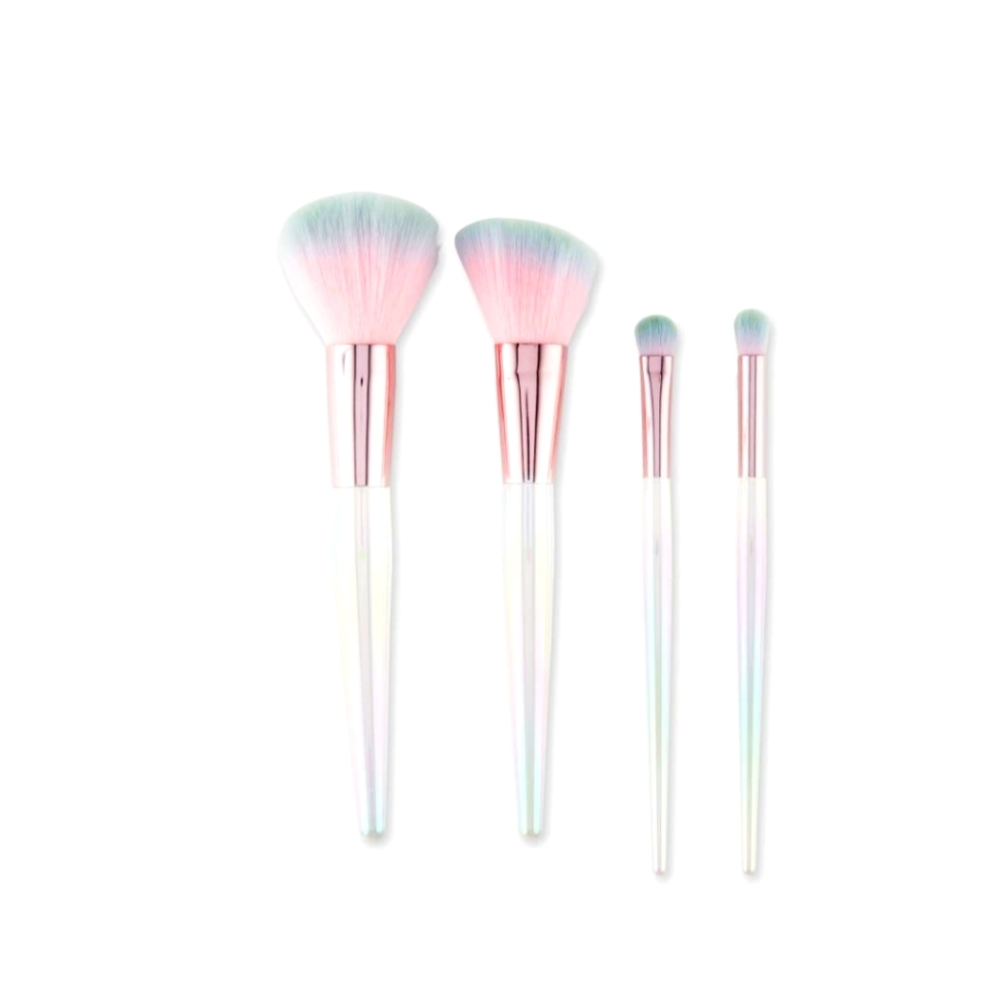 Makeup brushes and traveling case